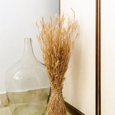 Apartment Lauma Zadar